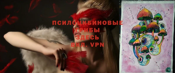 ГАЛЛЮЦИНОГЕННЫЕ ГРИБЫ Балахна